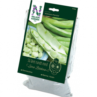 Slik planter du klematis Din lokale gartner